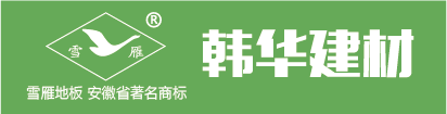 安徽韩华新材料科技股份有限公司